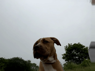 Kaya profile pic